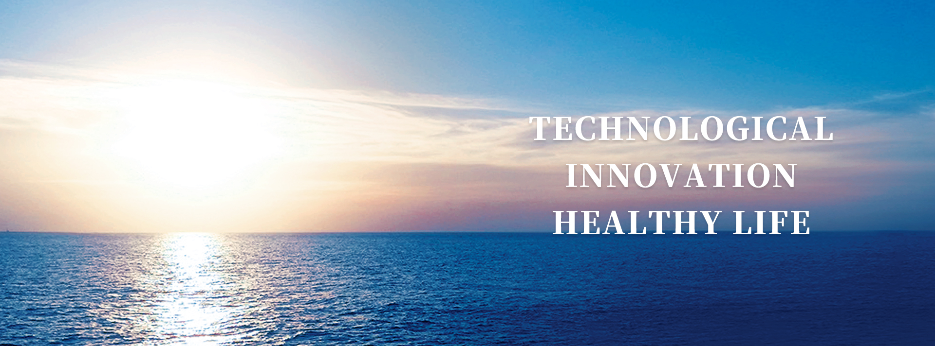 東陽(yáng)光產(chǎn)業(yè)